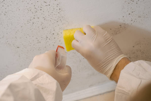 Best Dehumidification Services  in Castleton On Hudson, NY